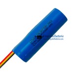 Batterie für SPS 1UR14500P-AMX [Ersatzbatterie]